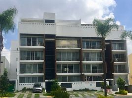 155 SqM Office for rent in Jalisco, Zapopan, Jalisco