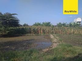  Land for sale in Mojokerto, East Jawa, Puri, Mojokerto