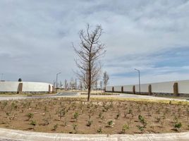 Grundstück zu verkaufen in Torreon, Coahuila, Torreon