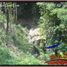 Land for sale in Gianyar Bali, Tegallalang