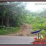  Land for sale in Gianyar Bali, Tegallalang