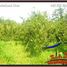  Land for sale in Gianyar Bali, Tegallalang