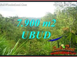  Land for sale in Gianyar Bali, Tegallalang