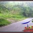  Land for sale in Gianyar Bali, Tegallalang