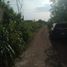  Grundstück zu verkaufen in Conkal, Yucatan, Conkal, Yucatan