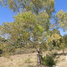  Land for sale in San Andres Cholula, Puebla, San Andres Cholula