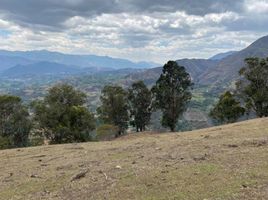  Land for sale in Malacatos Valladolid, Loja, Malacatos Valladolid, Loja, Loja