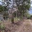  Land for sale in Malacatos Valladolid, Loja, Malacatos Valladolid, Loja, Loja