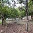  Land for sale in Malacatos Valladolid, Loja, Malacatos Valladolid, Loja, Loja