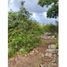  Land for sale in Yobain, Yucatan, Yobain