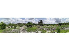  Land for sale in Yobain, Yucatan, Yobain