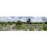  Land for sale in Yobain, Yucatan, Yobain