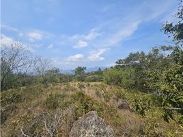  Land for sale in Altos de Campana National Park, Campana, Chica