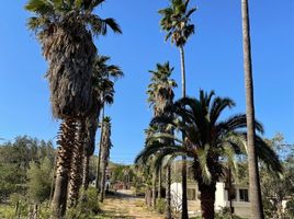 2 Schlafzimmer Villa zu verkaufen in Tecate, Baja California, Tecate