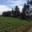  Terreno (Parcela) en venta en Sukasari, West Jawa, Sukasari, Bandung, West Jawa