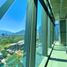 221 SqM Office for rent in Monterrey, Nuevo Leon, Monterrey