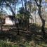  Terreno (Parcela) en venta en Xico, Veracruz, Xico