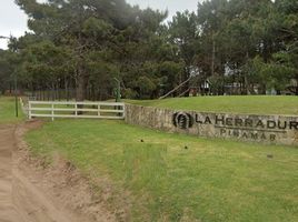 Maison 4 chambre à vendre à Pinamar, Buenos Aires, Pinamar