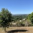  Land for sale in Tenango Del Valle, Mexico, Tenango Del Valle