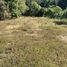  Land for sale in Tenango Del Valle, Mexico, Tenango Del Valle