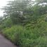  Land for sale in Yogyakarta, Gamping, Sleman, Yogyakarta