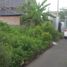  Land for sale in Yogyakarta, Gamping, Sleman, Yogyakarta