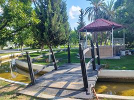  Land for sale in Matamoros, Coahuila, Matamoros