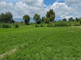  Grundstück zu verkaufen in Tehuacan, Puebla, Tehuacan