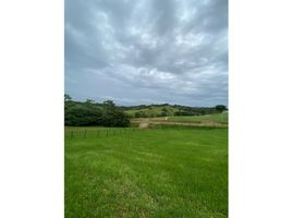  Land for sale in Barrio Colon, La Chorrera, Barrio Colon