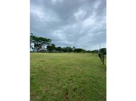  Grundstück zu verkaufen in La Chorrera, Panama Oeste, Barrio Colon