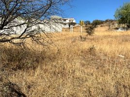  Grundstück zu verkaufen in Queretaro, Queretaro, Queretaro, Queretaro