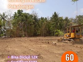  Land for sale in Tirto, Pekalongan, Tirto