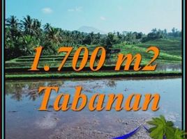  Tanah for sale in Selemadeg, Tabanan, Selemadeg