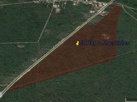  Terreno (Parcela) en venta en Uman, Yucatán, Uman