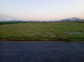  Land for sale in Jenggawah, Jember, Jenggawah