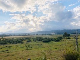  Land for sale in Comitan De Dominguez, Chiapas, Comitan De Dominguez