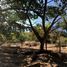 3 Bedroom House for sale in Tuxtla Gutierrez, Chiapas, Tuxtla Gutierrez, Chiapas