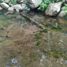  Land for sale in Purwakarta, West Jawa, Purwakarta, Purwakarta