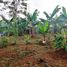  Land for sale in Purwakarta, West Jawa, Purwakarta, Purwakarta