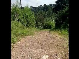  Land for sale in Bandung, West Jawa, Lembang, Bandung