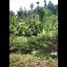  Land for sale in Bandung, West Jawa, Lembang, Bandung