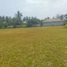  Land for sale in Panimbang, Pandeglang, Panimbang