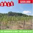  Land for sale in Cunduacan, Tabasco, Cunduacan