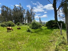  Terreno (Parcela) en venta en Cotacachi, Imbabura, Cotacachi, Cotacachi