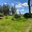  Land for sale in Cotacachi, Imbabura, Cotacachi, Cotacachi