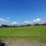  Land for sale in Palmira, Valle Del Cauca, Palmira