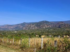  Terreno (Parcela) en venta en Tepoztlan, Morelos, Tepoztlan