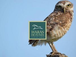  Grundstück zu verkaufen in Rosario, Santa Fe, Rosario, Santa Fe