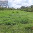  Terreno (Parcela) en alquiler en Isla Mujeres, Quintana Roo, Isla Mujeres, Quintana Roo