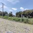  Land for sale in Ayala, Morelos, Ayala